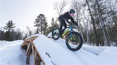 Image for: BILLET FATBIKE JOUR