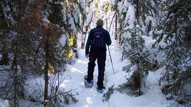 Image for: ABONNEMENT RAQUETTE